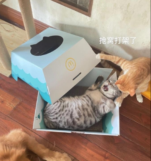 一些和貓相關(guān)的設(shè)計(jì)468